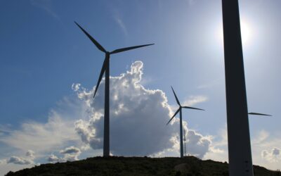 Odnawialne źródła energii. Czym są i co należy o nich wiedzieć?